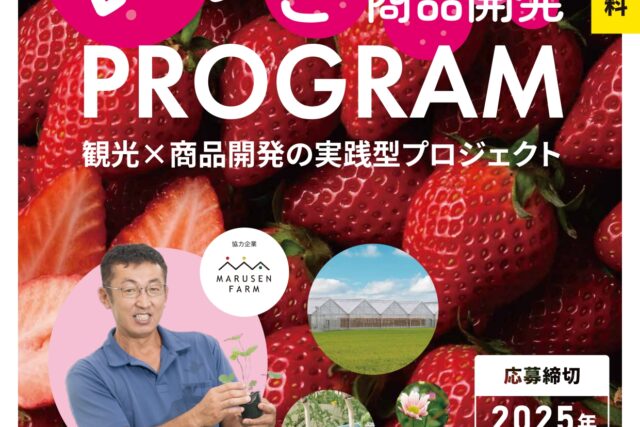 ローカルイノベーション（いちご）_page-0001